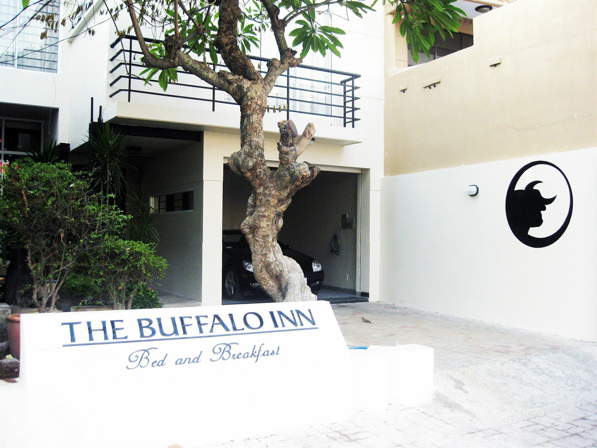 Buffalo Inn Vung Tau Bagian luar foto